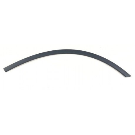 Modanatura porta posteriore sx