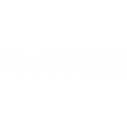 Modanatura posteriore platino