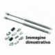 Coppia pistoncini ammortizzatore molla a gas portellone modelli 5 porte