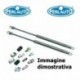 Coppia pistoncini ammortizzatore molla a gas portellone con spoiler