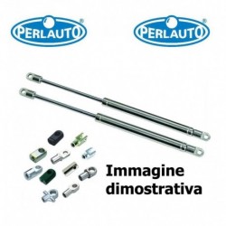 Coppia pistoncini ammortizzatore molla a gas portellone con spoiler