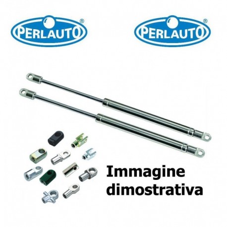 Coppia pistoncini ammortizzatore molla a gas portellone