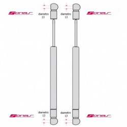 Coppia pistoncini ammortizzatore molla a gas portellone
