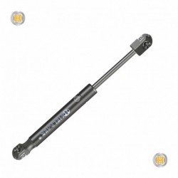 Pistoncino ammortizzatore molla a gas lunotto