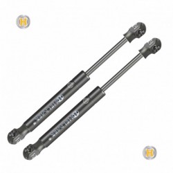 Coppia pistoncini ammortizzatore molla a gas cofano anteriore