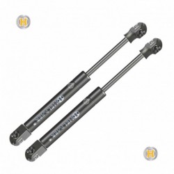 Coppia pistoncini ammortizzatore molla a gas portellone