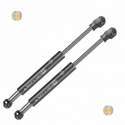 Coppia pistoncini ammortizzatore molla a gas portellone