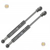 Coppia pistoncini ammortizzatore molla a gas portellone