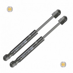 Coppia pistoncini ammortizzatore molla a gas lunotto