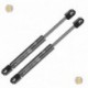 Coppia pistoncini ammortizzatore molla a gas cofano anteriore