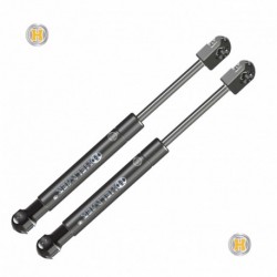 Coppia pistoncini ammortizzatore molla a gas lunotto