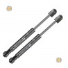 Coppia pistoncini ammortizzatore molla a gas portellone