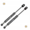 Coppia pistoncini ammortizzatore molla a gas portellone