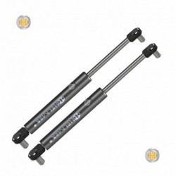 Coppia pistoncini ammortizzatore molla a gas portellone