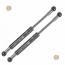 Coppia pistoncini ammortizzatore molla a gas portellone