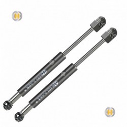 Coppia pistoncini ammortizzatore molla a gas portellone