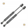 Coppia pistoncini ammortizzatore molla a gas portellone