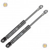 Coppia pistoncini ammortizzatore molla a gas portellone