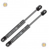 Coppia pistoncini ammortizzatore molla a gas portellone
