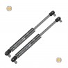 Coppia pistoncini ammortizzatore molla a gas portellone