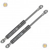 Coppia pistoncini ammortizzatore molla a gas cofano anteriore