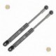 Coppia pistoncini ammortizzatore molla a gas portellone