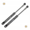 Coppia pistoncini ammortizzatore molla a gas portellone