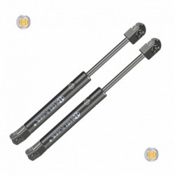 Coppia pistoncini ammortizzatore molla a gas portellone