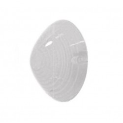 Lente trasparente anteriore bianco bilaterale
