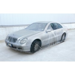 Protezione copriauto in PE M 66x38 m