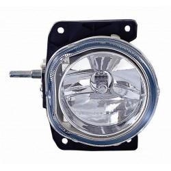 Fendinebbia bilaterale