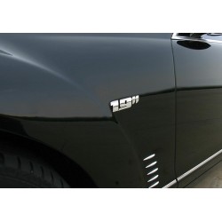 Emblema 3D cromato misura cerchio 15