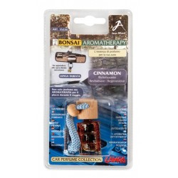 Bonsai Aromatherapy essenza di profumo Cinnamon