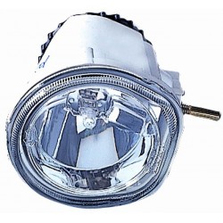 Fendinebbia bilaterale