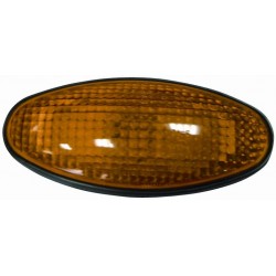 Gruppo ottico laterale arancio bilaterale