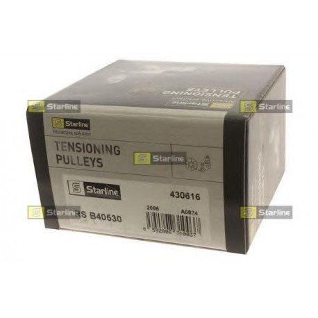 Galoppino tendicinghia servizi