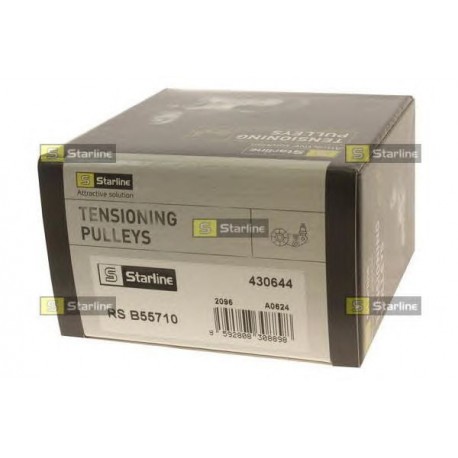 Galoppino tendicinghia servizi