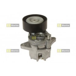 Cinghia servizi tensionatore puleggia