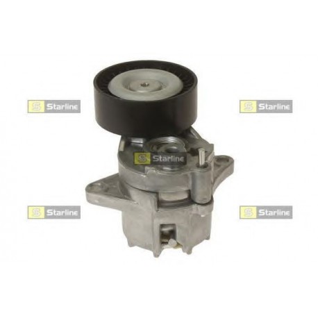 Cinghia servizi tensionatore puleggia