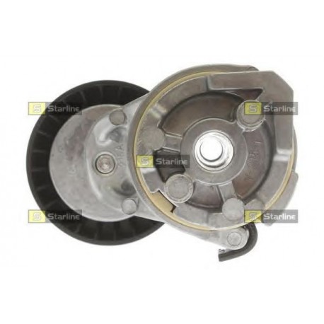 Cinghia servizi tensionatore puleggia