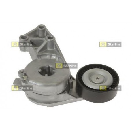 Cinghia servizi tensionatore puleggia