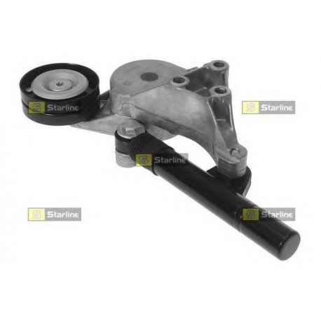 Cinghia servizi tensionatore puleggia