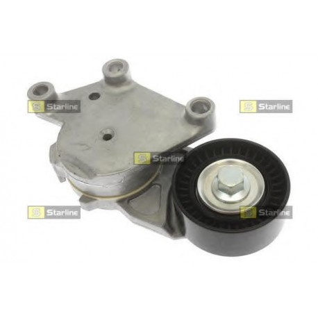 Cinghia servizi tensionatore puleggia