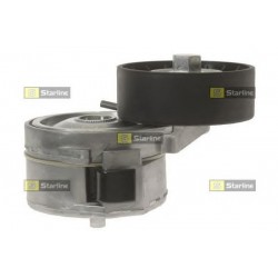 Cinghia servizi tensionatore puleggia