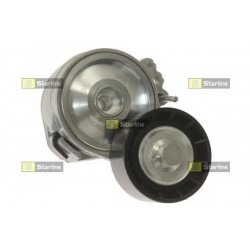 Cinghia servizi tensionatore puleggia