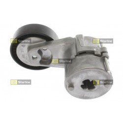 Cinghia servizi tensionatore puleggia