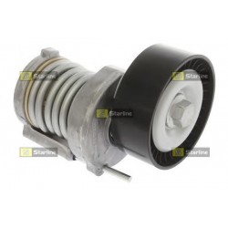 Cinghia servizi tensionatore puleggia