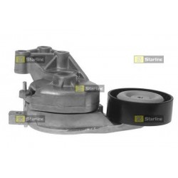 Cinghia servizi tensionatore puleggia