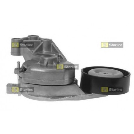 Cinghia servizi tensionatore puleggia