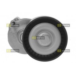 Cinghia servizi tensionatore puleggia